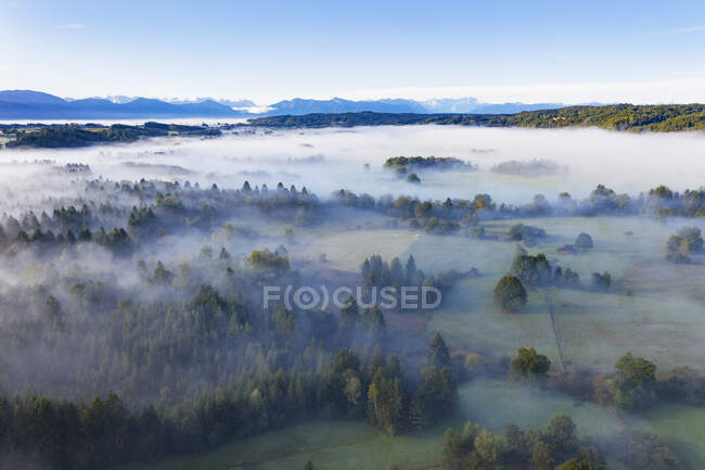 Alemanha, Baviera, Eurasburg, Vista aérea da floresta envolta em nevoeiro — Fotografia de Stock