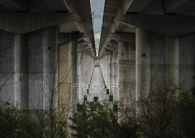 Piliers d'un pont routier dans un environnement abandonné — Photo de stock