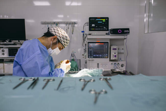 Veterinarian in a surgery — Stock Photo