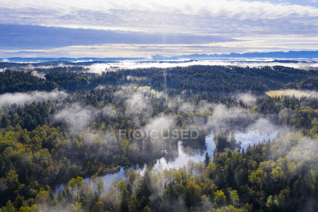 Germany, Bavaria, Geretsried, Aerial view of fog shrouding Birkensee lake and surrounding forest — Stock Photo