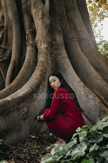 Bella giovane donna che indossa un vestito rosso accovacciato su un albero con grandi radici — Foto stock