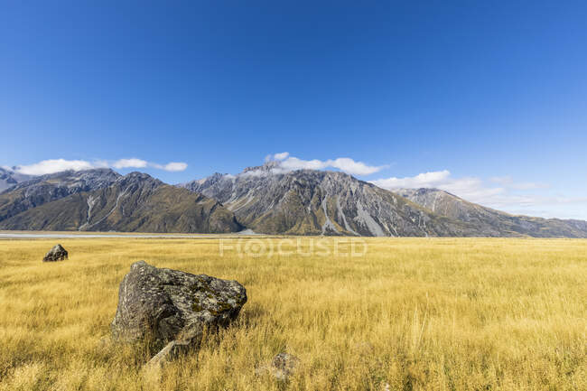 Nouvelle-Zélande, Océanie, Île du Sud, Canterbury, Ben Ohau, Alpes du Sud (Alpes néo-zélandaises), Parc national du Mont Cook, Champ herbeux dans la vallée de Tasman — Photo de stock