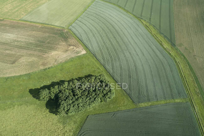 Germania, Baviera, Franconia, Veduta aerea dei campi verdi — Foto stock
