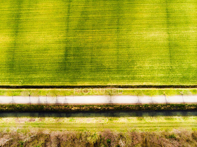 Italia, Friuli Venezia Giulia, Marano, Vista aérea de la carretera de campo que se extiende a lo largo del campo verde - foto de stock