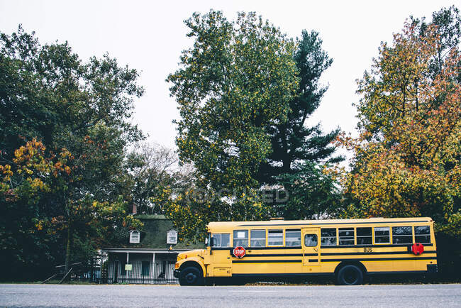 США, Нью-Йорк, Нью-Йорк, Школьный автобус на улице — стоковое фото