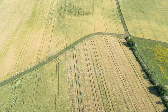 Germany, Bavaria, Franconia, Aerial view of green fields and dirt road — Stock Photo