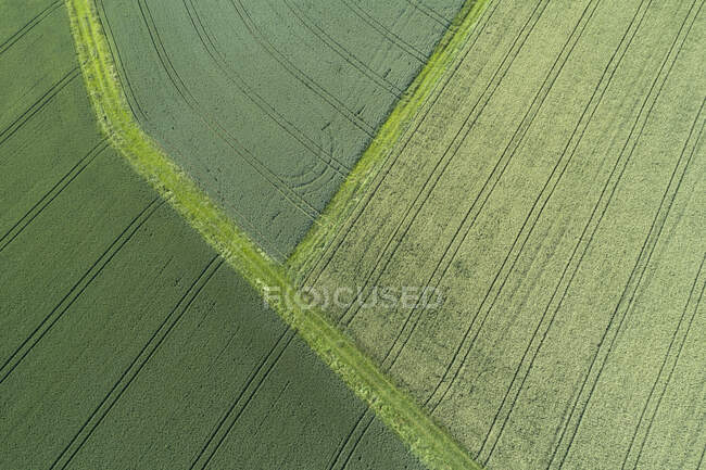 Allemagne, Bavière, Franconie, Vue aérienne des champs verts — Photo de stock