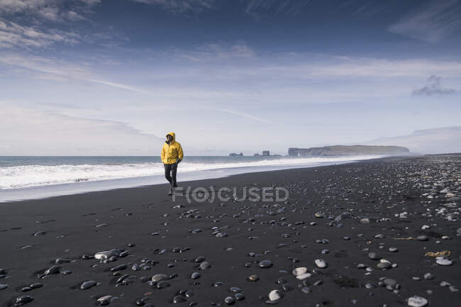 Зрілий чоловік ходить по лавовому пляжу в Ісландії. — стокове фото