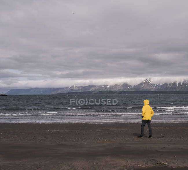 Hombre maduro de pie en la playa de lava en Eyjafjordurfjord, Islandia, mirando al mar - foto de stock