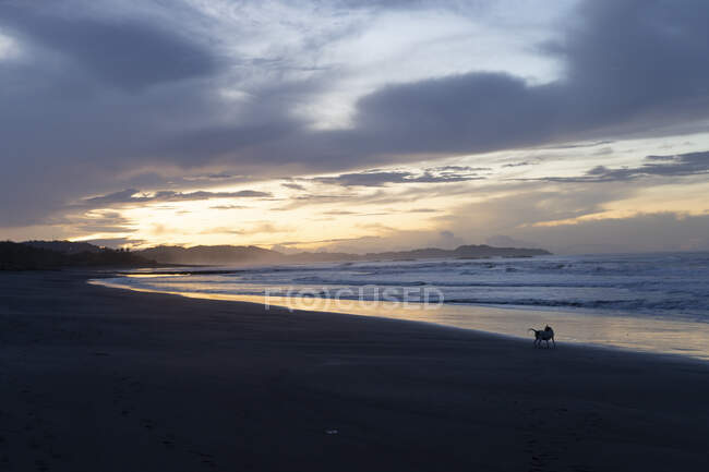 Коста - Рика, провінція Гуанакасте, Остіонал, Піщаний пляж на хмарному сході сонця. — стокове фото