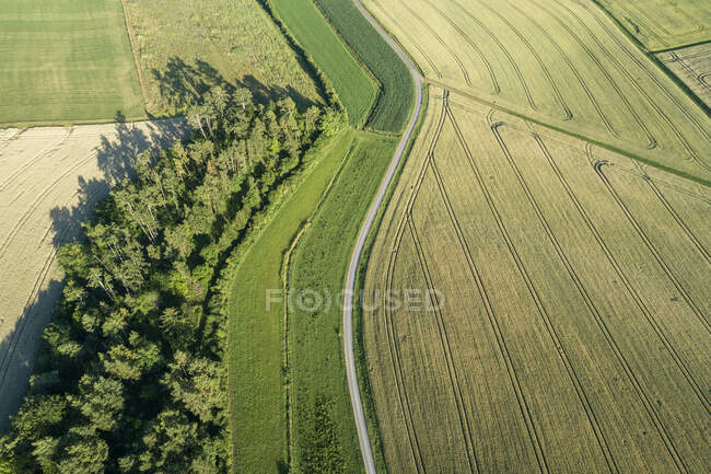 Alemania, Baviera, Franconia, Vista aérea de campos verdes y camino de tierra - foto de stock