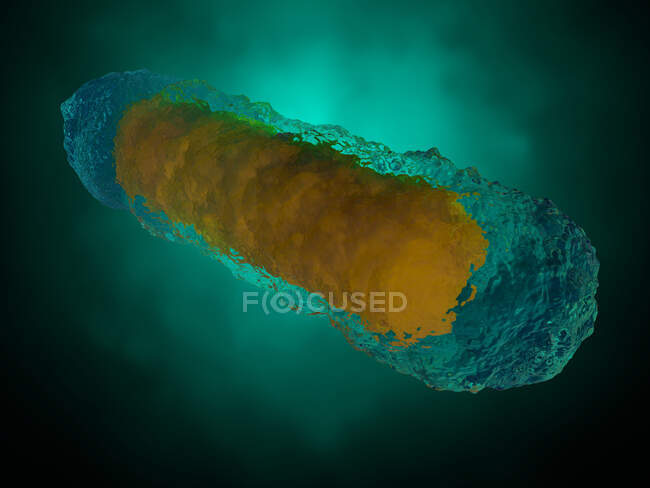 3D rendering Illustrazione di batteri generici su sfondo colorato — Foto stock