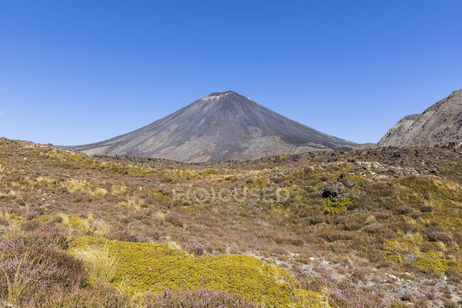 Nouvelle-Zélande, district de Ruapehu, volcan Mount Ngauruhoe contre ciel bleu clair — Photo de stock