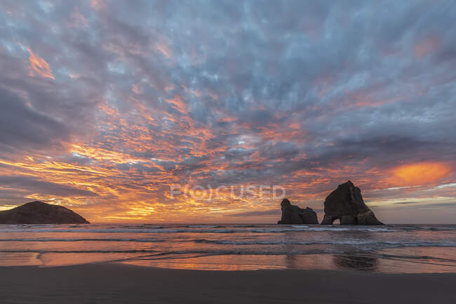New Zealand, South Island, Tasman, Wharariki Beach and Archway Islands at sunset — Stock Photo