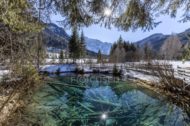Austria, Carintia, Meerauge estanque en el valle del Bodental - foto de stock