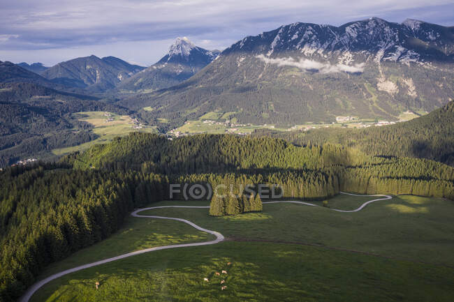 Austria, Tyrol, Eben am Achensee, Aerial view of winding road and green alpine forest — стокове фото