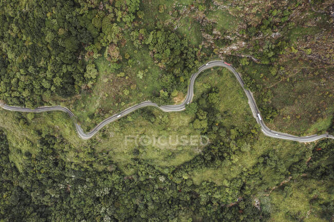 Sri Lanka, Provincia di Uva, Ella, Veduta aerea della strada tortuosa circondata dalla verde foresta alpina — Foto stock