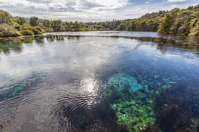 Новая Зеландия, регион Тасмана, Такака, живописный вид на Те Вайкоропупу Спрингс — стоковое фото