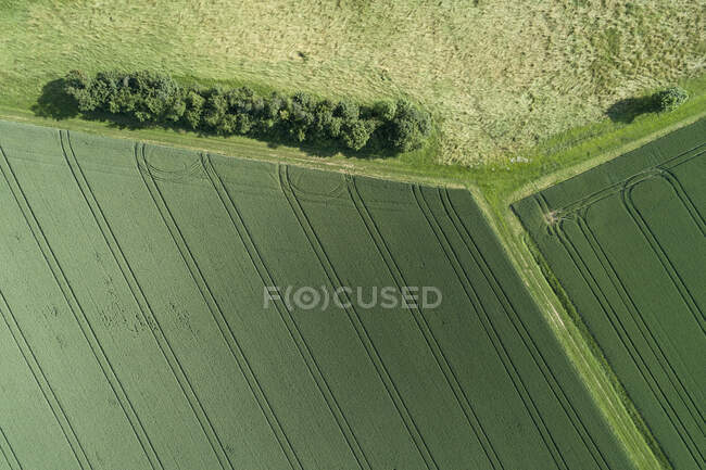 Німеччина, Баварія, Франконія, вид з повітря на зелені поля. — стокове фото