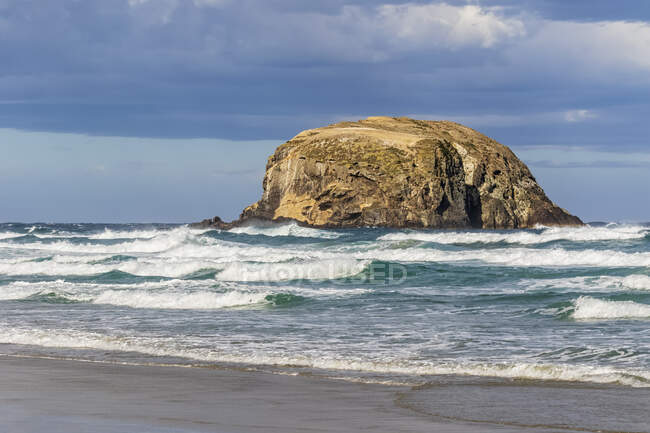 Nouvelle-Zélande, Dunedin, Allans Beach avec pile de mer en arrière-plan — Photo de stock