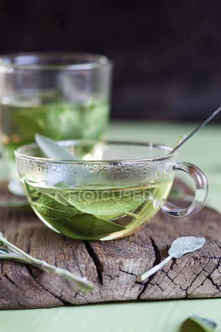 Cup of hot sage tea — Stock Photo