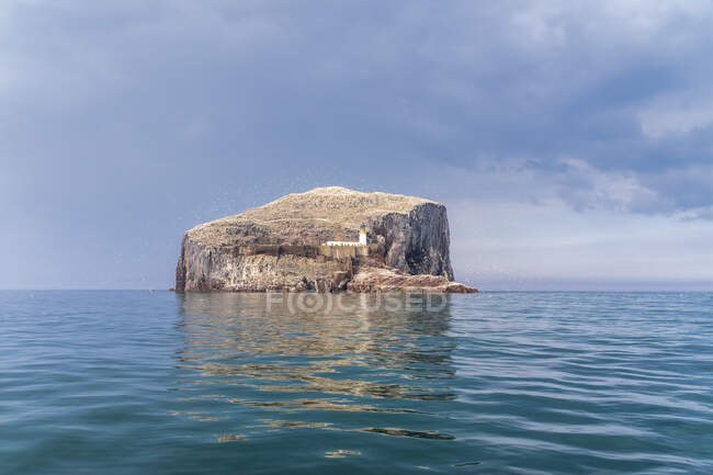 Royaume-Uni, Écosse, Berwick Nord, île de Bass Rock — Photo de stock