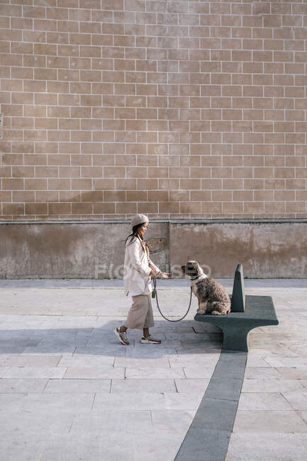 Young woman with her dog in the city on a bench — Stock Photo