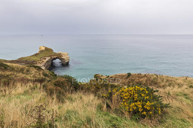 Nouvelle-Zélande, Océanie, Île du Sud, Otago, Dunedin, falaises de grès à Tunnel Beach — Photo de stock