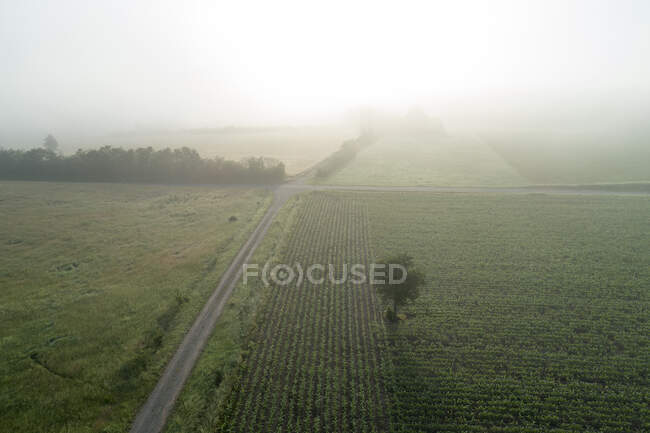 Germany, Bavaria, Franconia, Aerial view of field covered with fog at morning — Stock Photo