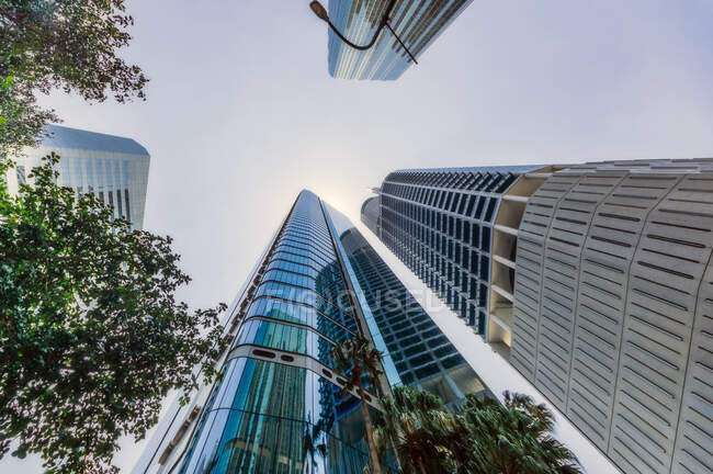 Australia, Brisbane, Vista ad angolo basso dei grattacieli — Foto stock