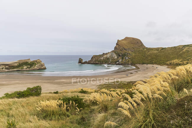 Nouvelle-Zélande, région de Wellington, Castlepoint, Deliverance Cove et Castle Rock — Photo de stock