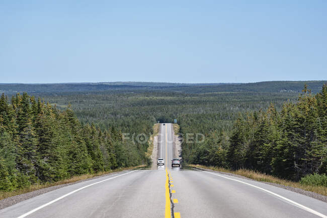Canada, Nuova Scozia, Prospettiva decrescente di autostrada circondata da una vasta foresta verde — Foto stock