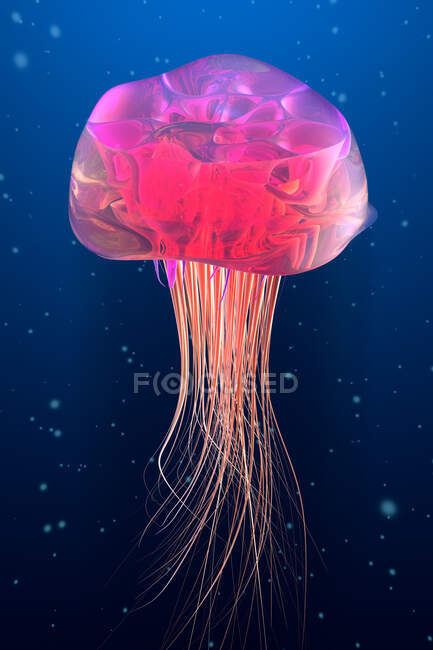 Тривимірне зображення червоної медузи, що плаває під водою. — стокове фото