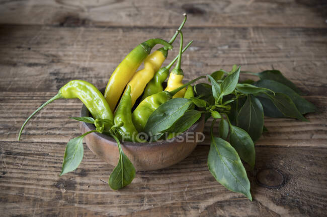 Chiles amarillos y verdes (capsicum), pimientos picantes en cuenco de madera en la mesa - foto de stock
