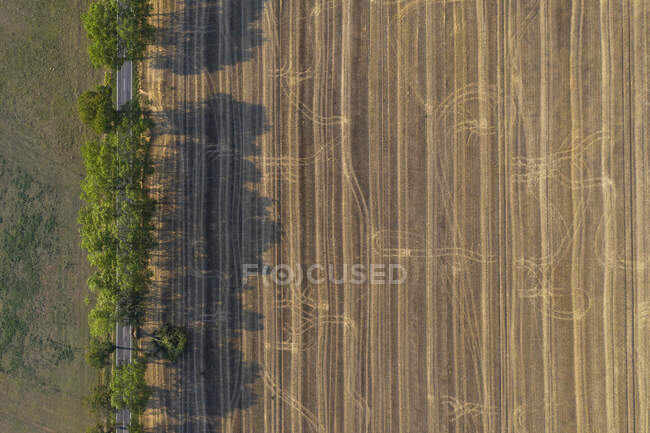 Allemagne, Brandebourg, Drone vue de la route de campagne boisée et le champ brun — Photo de stock