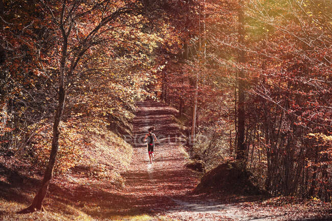 Frau joggt im Herbstwald — Stockfoto
