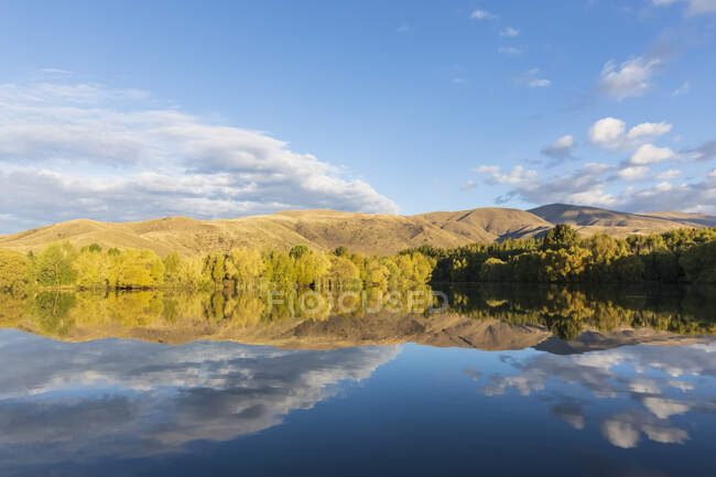 Nouvelle-Zélande, district de Franklin, Glenbrook, collines boisées reflétant dans le lac Wairepo Arm en automne — Photo de stock