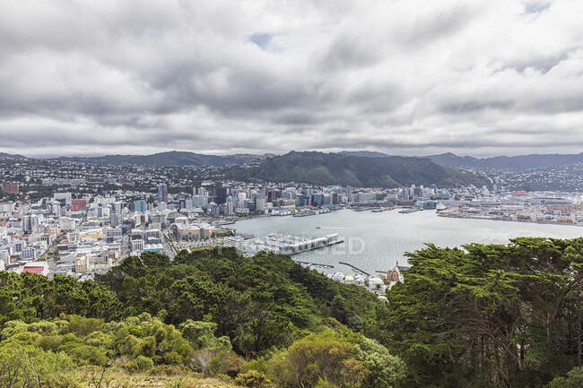 Нова Зеландія, Веллінгтон, Хмари над прибережним містом, яке видно з вершини гори Вікторія. — стокове фото