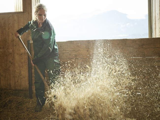 Female farmer working with straw on a farm — Stock Photo