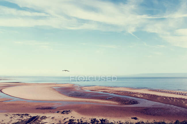 Francia, Normandia, Barneville-Carteret, Spiaggia costiera sabbiosa durante la bassa marea — Foto stock