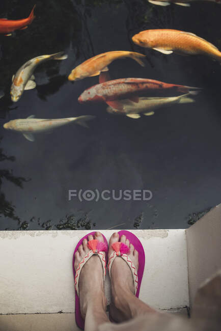 Close-up of woman in flip flops standing at a pool with kois — Stock Photo