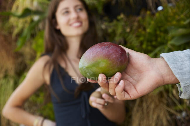 Image de marque intelligente sur mangue — Photo de stock