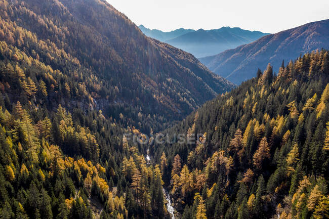 Austria, Carintia, Vista aérea del valle de las montañas boscosas en otoño - foto de stock