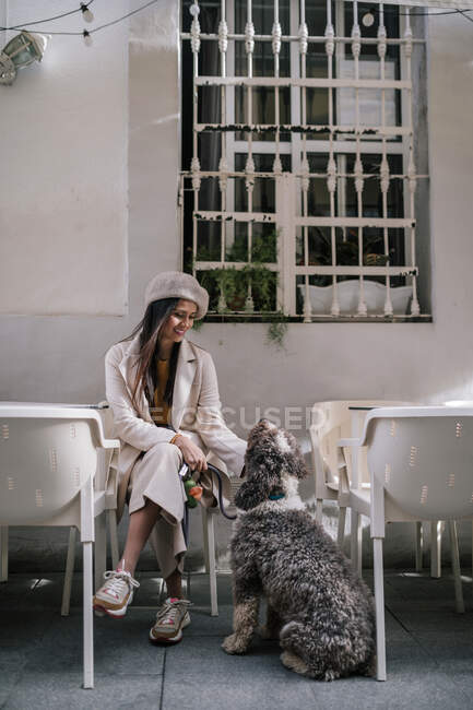 Молода жінка сидить зі своїм собакою у кафе в місті. — стокове фото