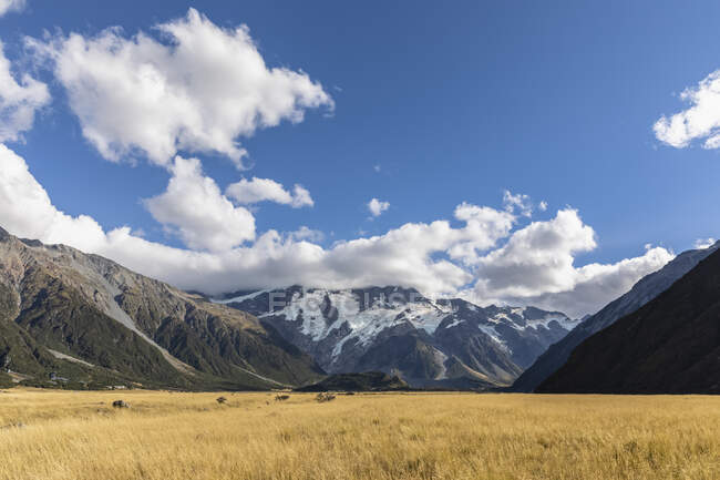 Nouvelle-Zélande, Océanie, Île du Sud, Canterbury, Ben Ohau, Alpes du Sud (Alpes néo-zélandaises), Parc national du Mont Cook, Aoraki / Mont Cook, Paysage montagneux — Photo de stock