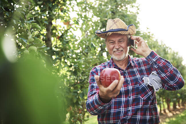 Orgulhoso fruticultor segurando maçã, falando no telefone — Fotografia de Stock