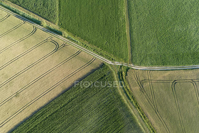 Німеччина, Баварія, Drone view of patchwork fields Summer — стокове фото