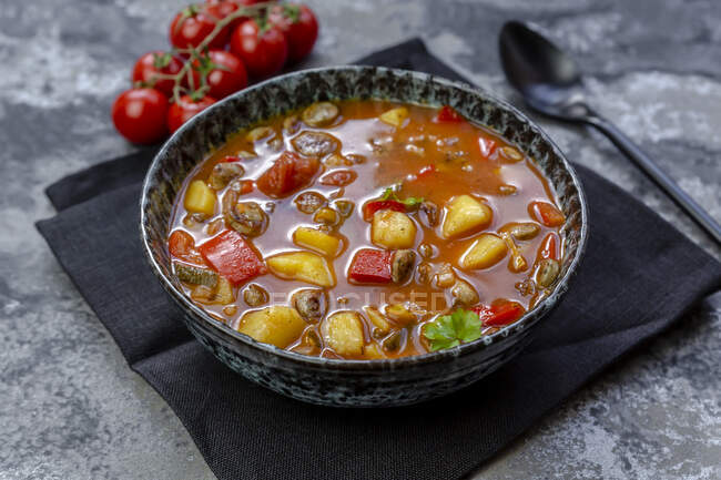 Bol de goulache aux saucisses avec pommes de terre, tomates, poivrons, poireaux et persil — Photo de stock