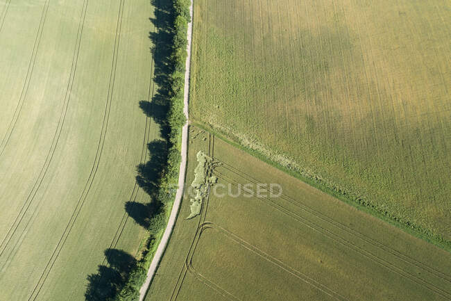 Germany, Bavaria, Franconia, Aerial view of green fields and dirt road — Stock Photo