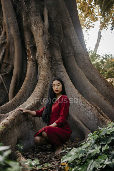 Красивая молодая женщина в красном платье приседает на дерево с большими корнями — стоковое фото